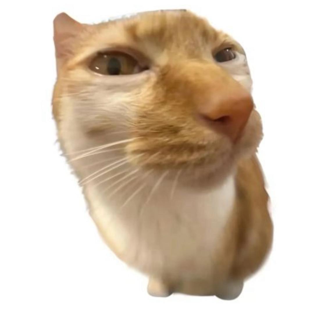 狐与狸...