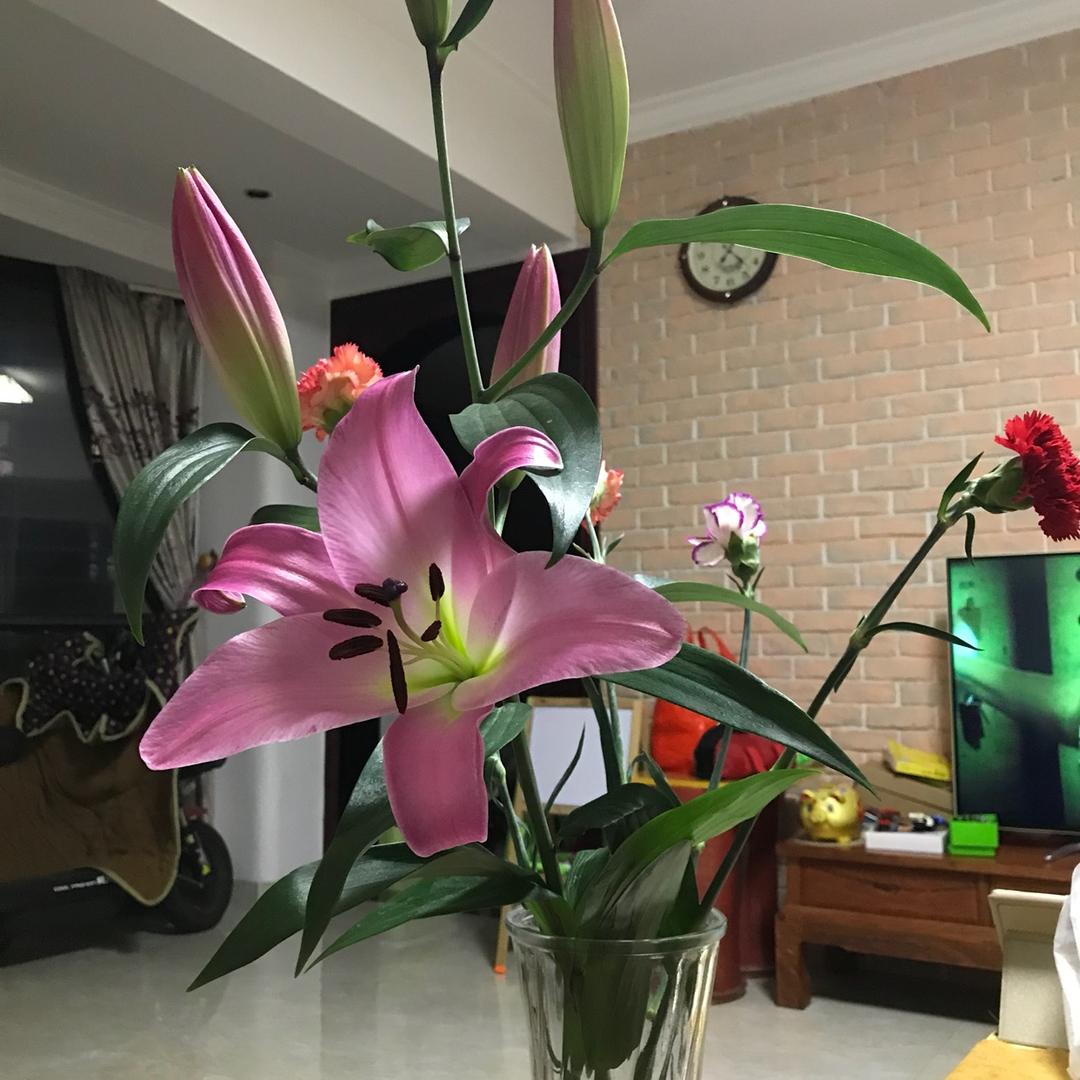K&C 零食美食上线啦