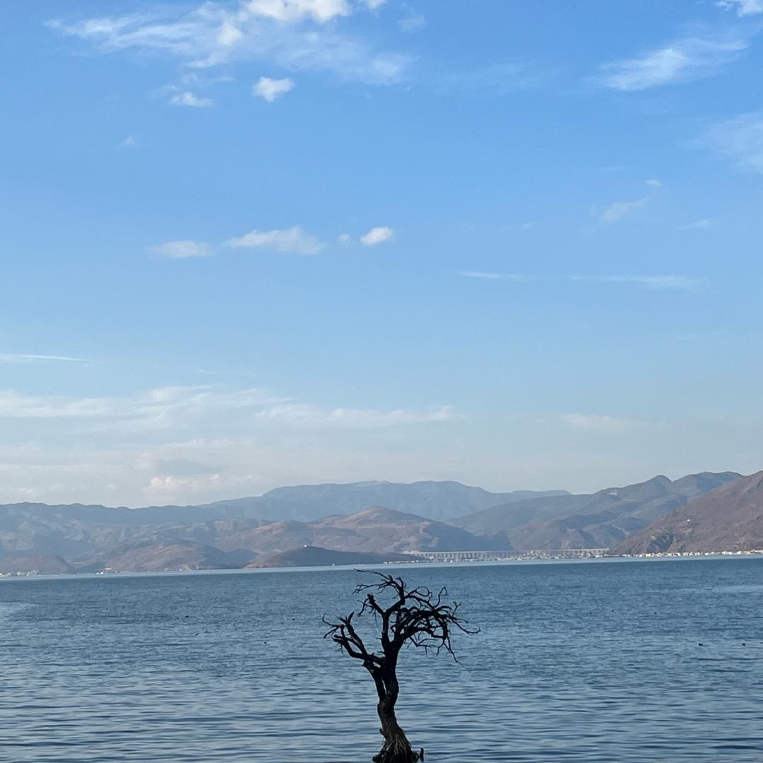 今天小木打烊了