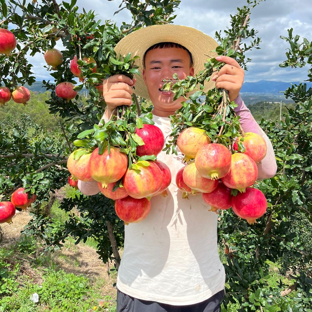 阿昆水果