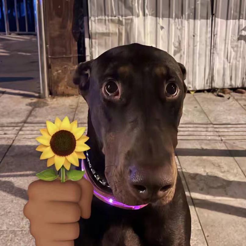 不知道叫什么好了