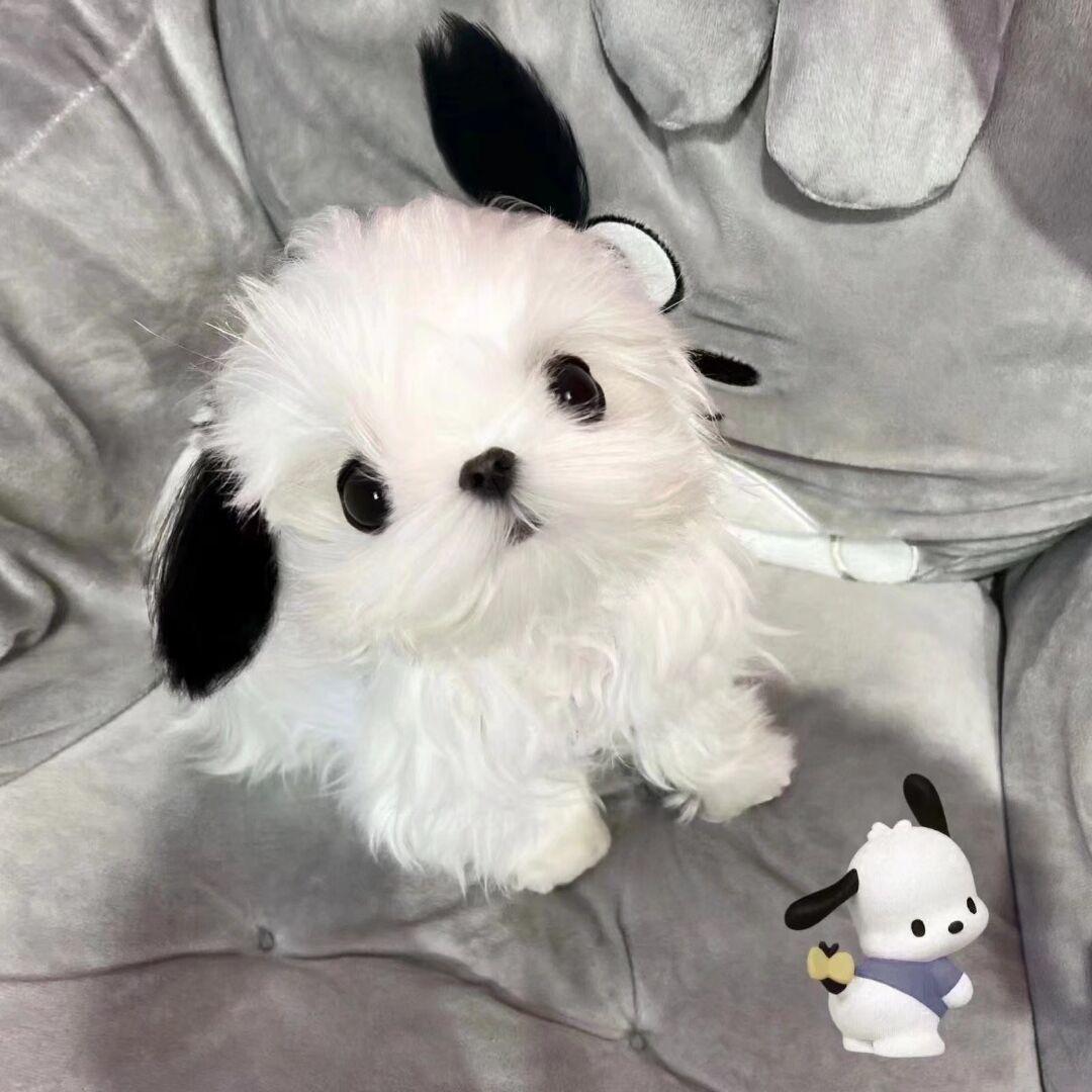 不要停止对我迷恋