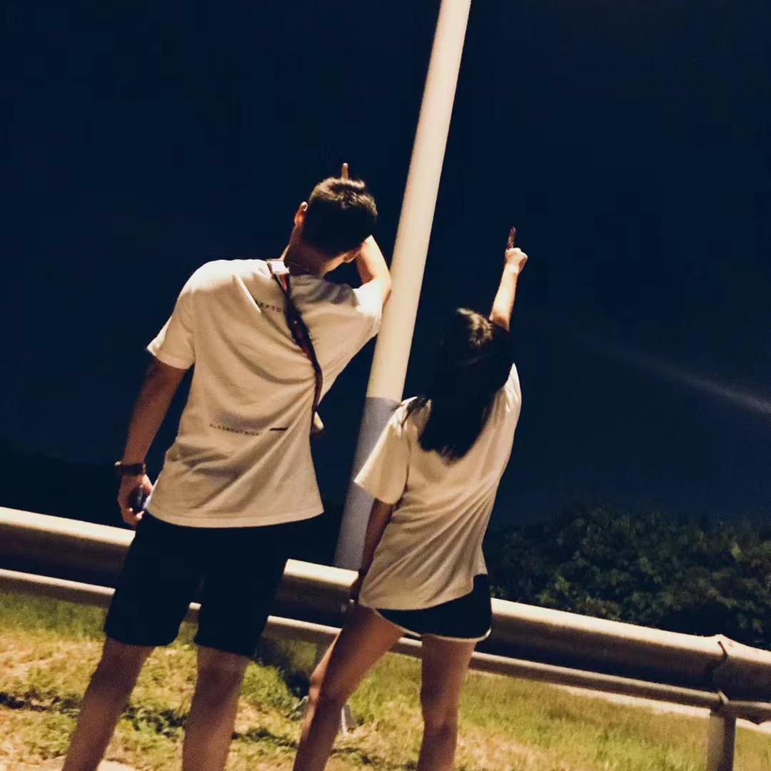 北极企鹅
