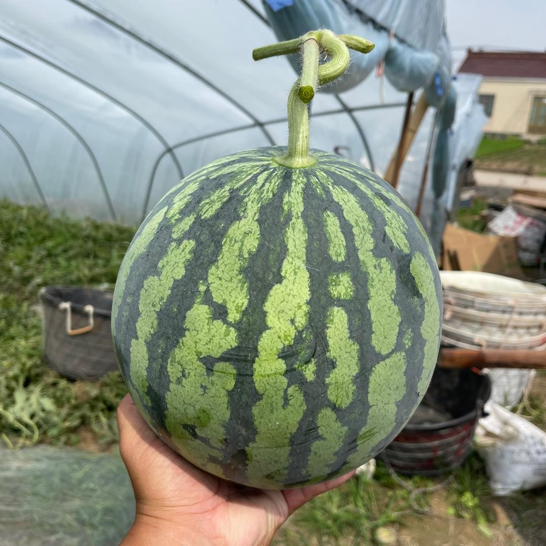 合肥果香汇果品有限公司