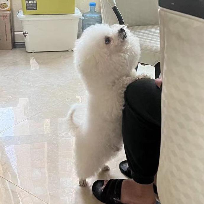 木辛石页kv