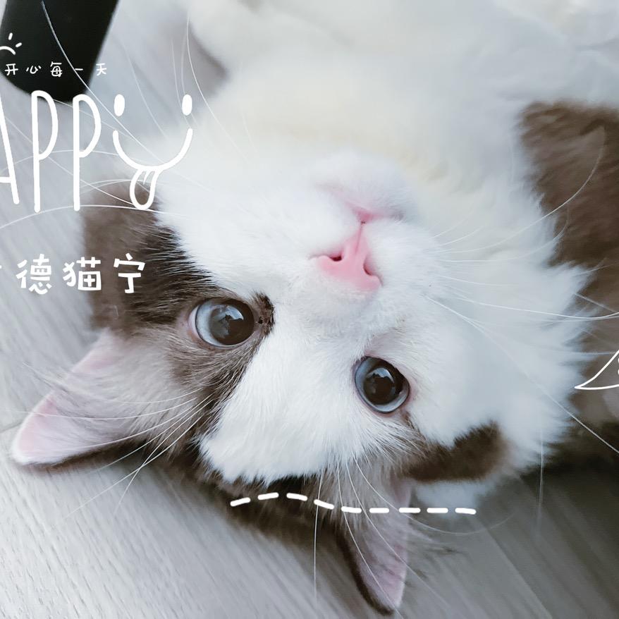 是娇娇呀呀呀⭐️