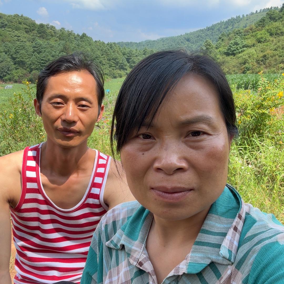红塔区李小二土特产店