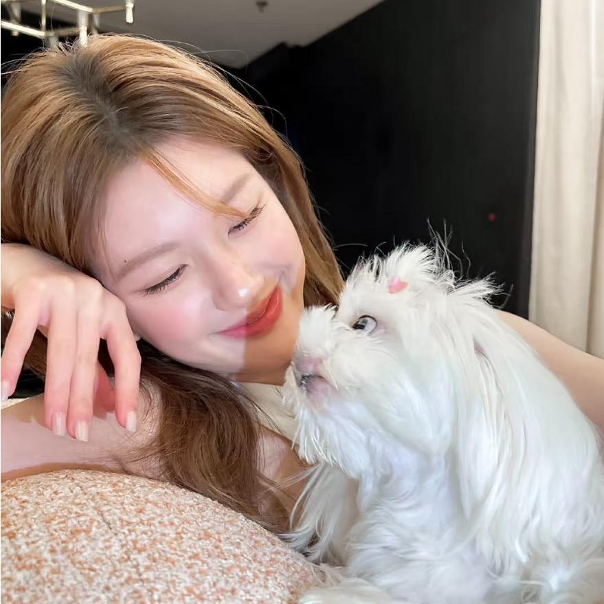 陈洒洒🌈
