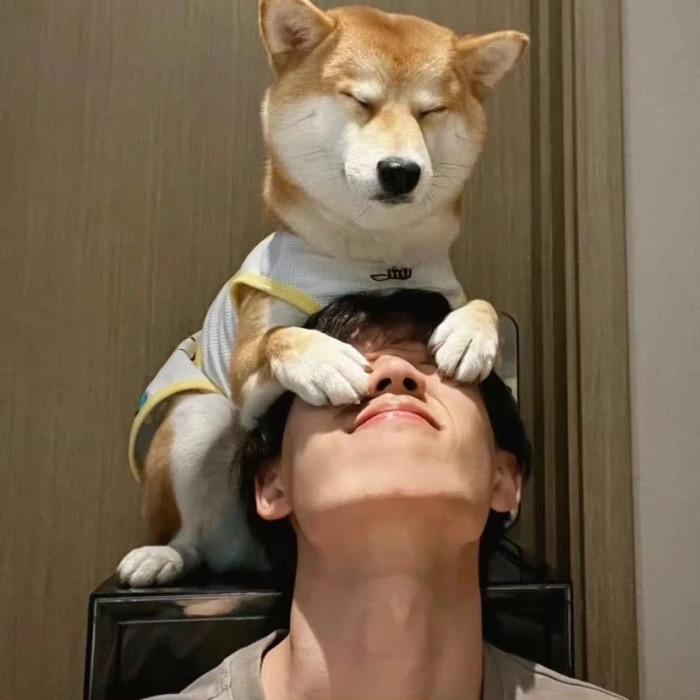 半寸光