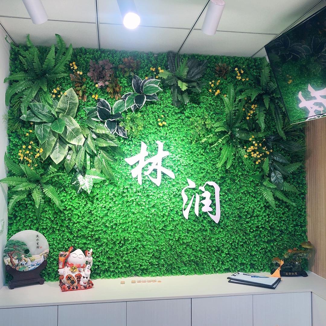 林润美学