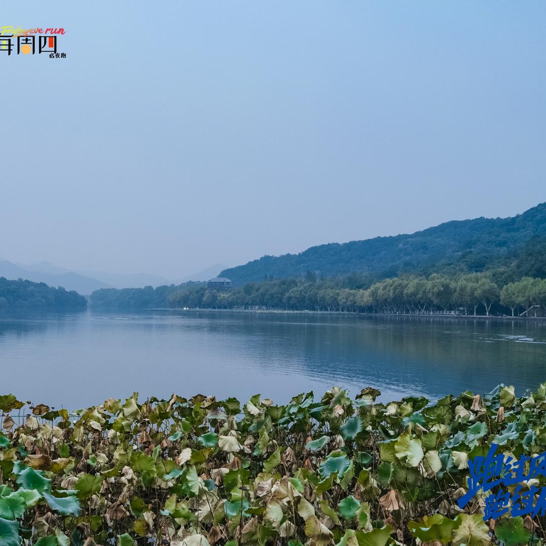 陈东东