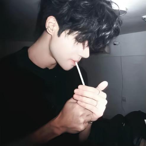 小蟑螂喜欢养树