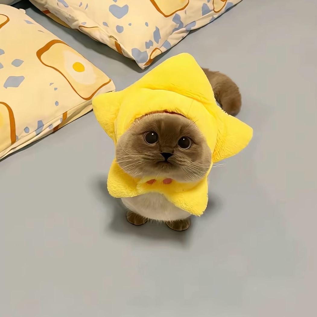 小琳讲橱窗
