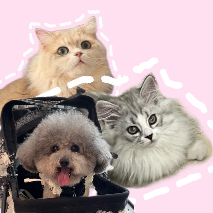 弟儿小困包ᥫᩣ