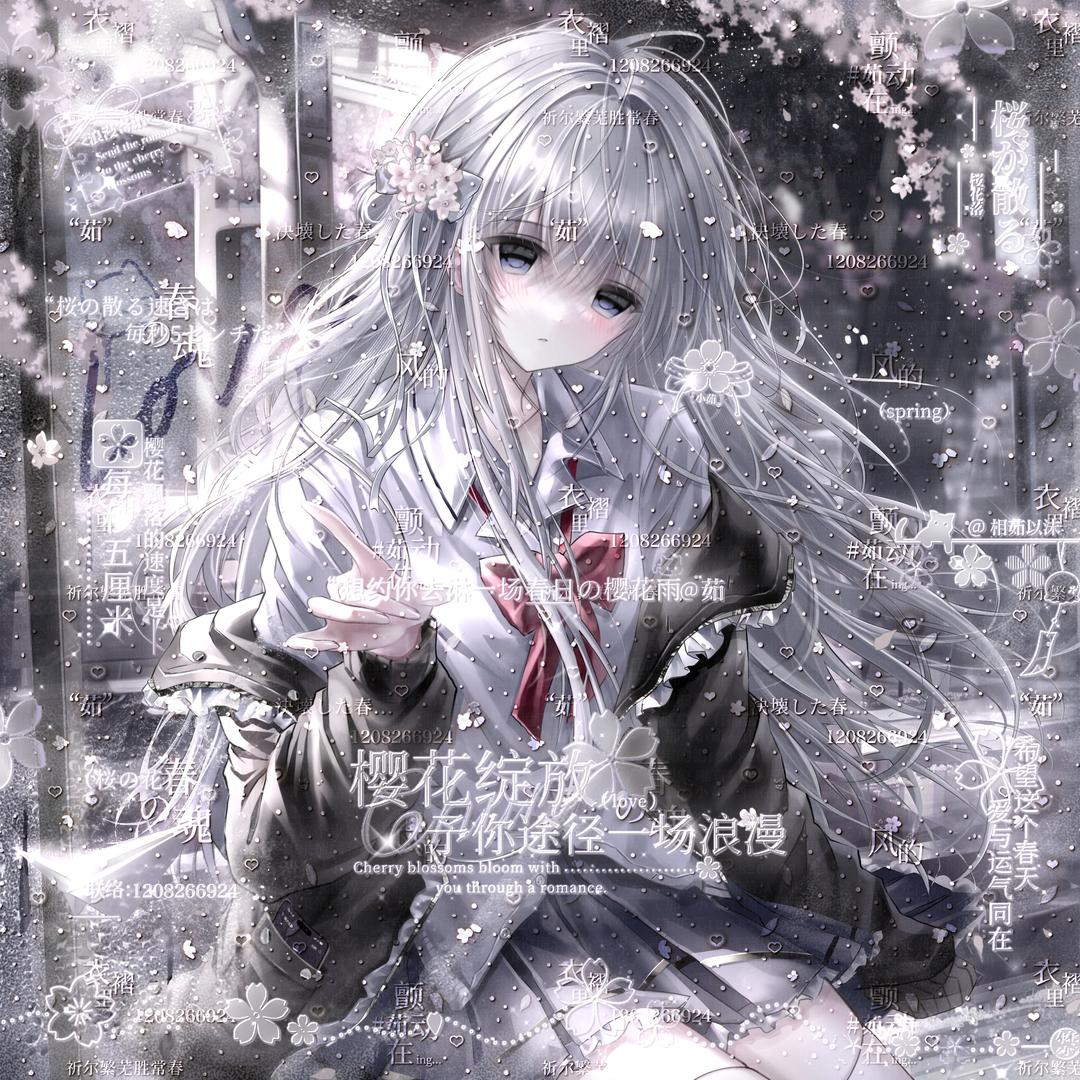 O小v茹O