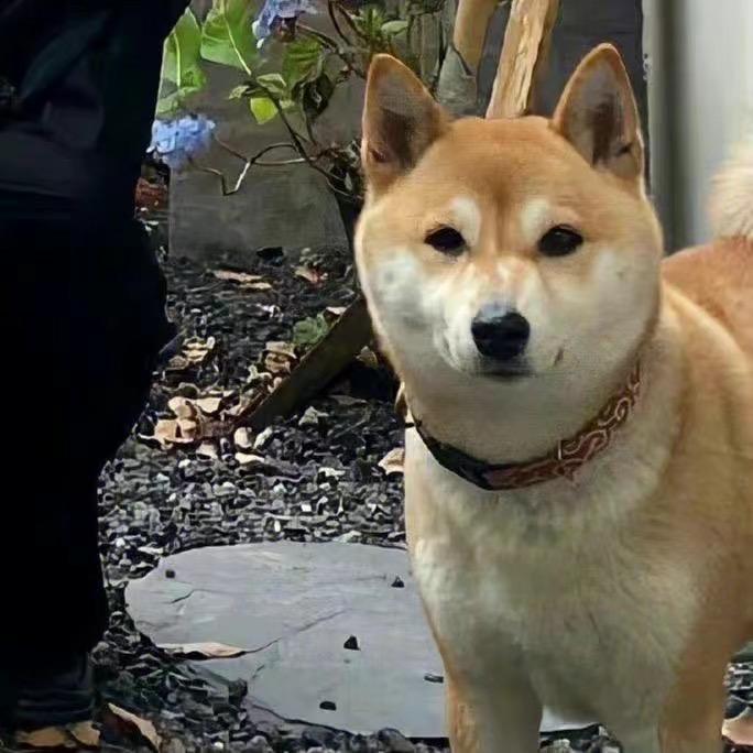 王某人丶