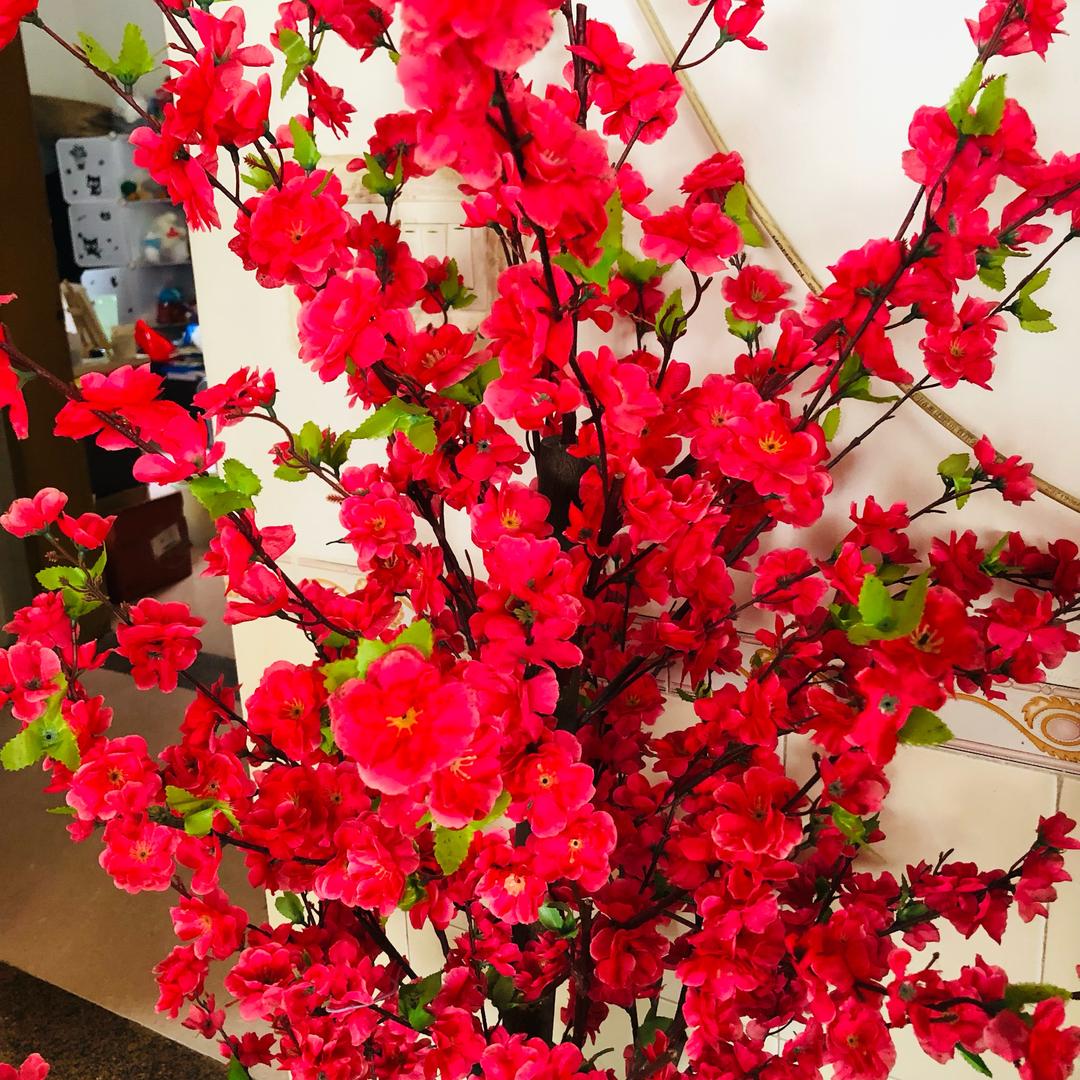 花好月圆～