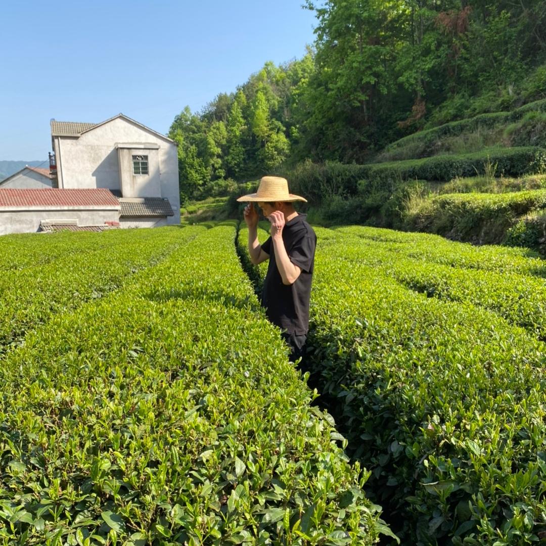 新春茶叶批发部