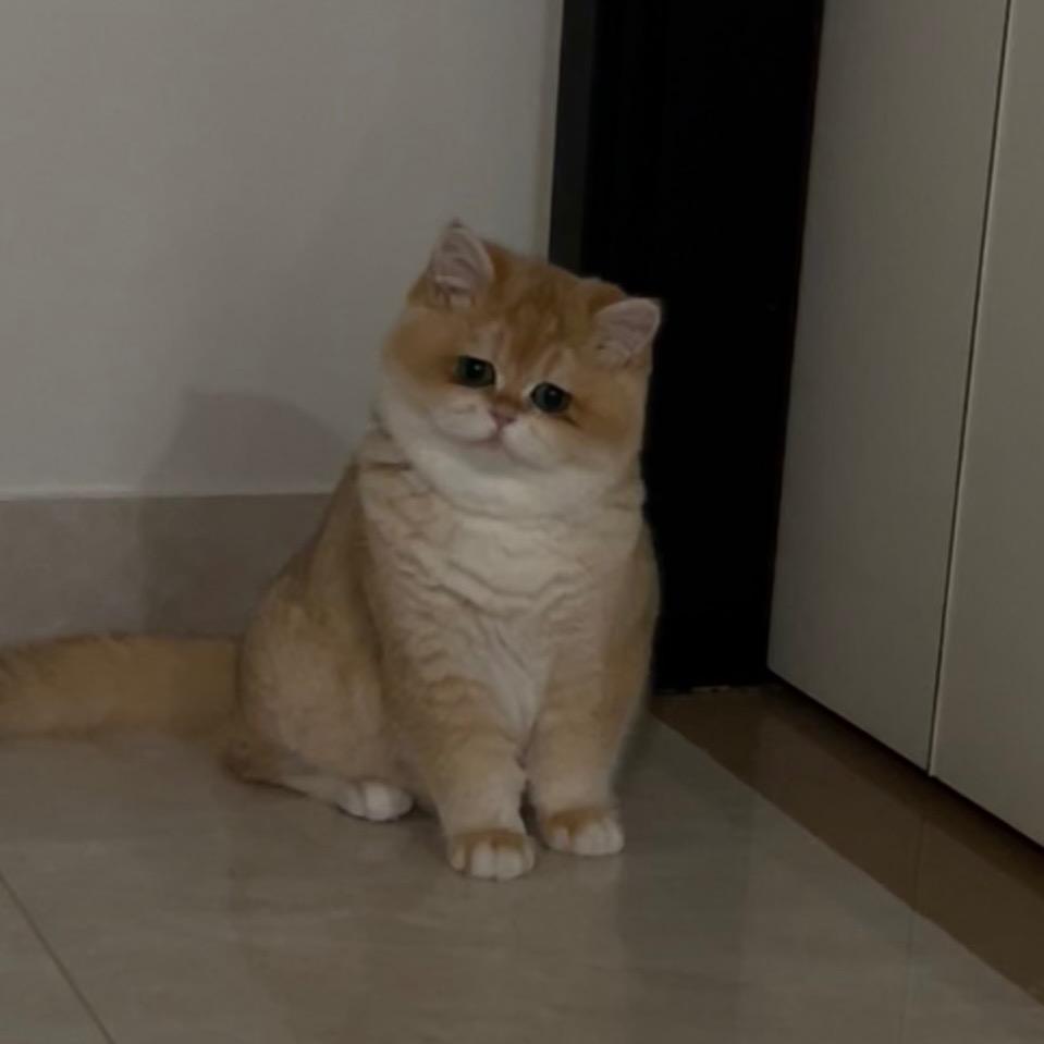 小百福
