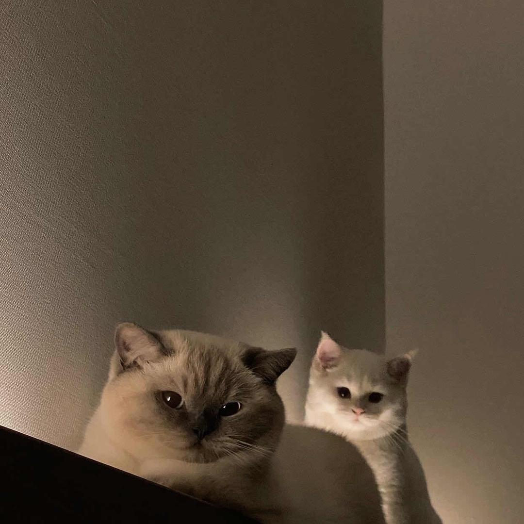 👹