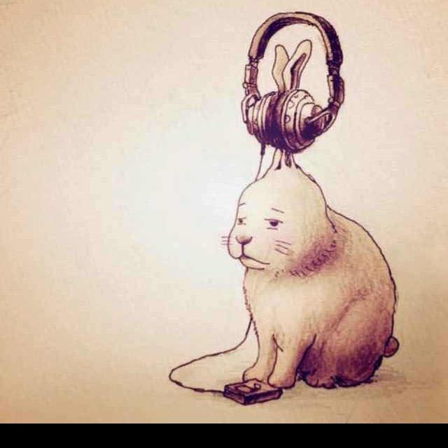有理想的猪