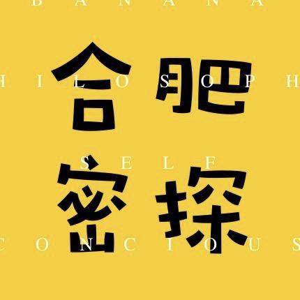 合肥密探