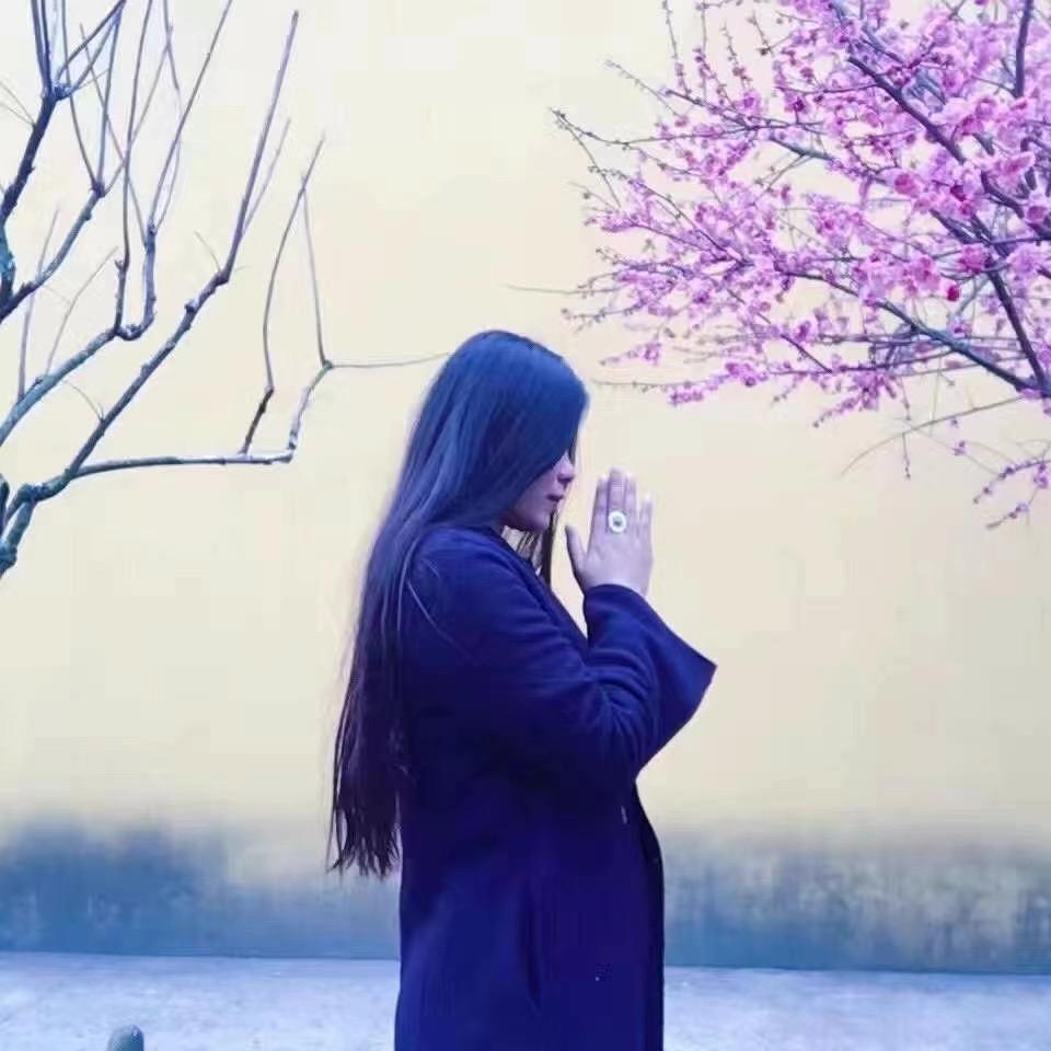 照财小师兄