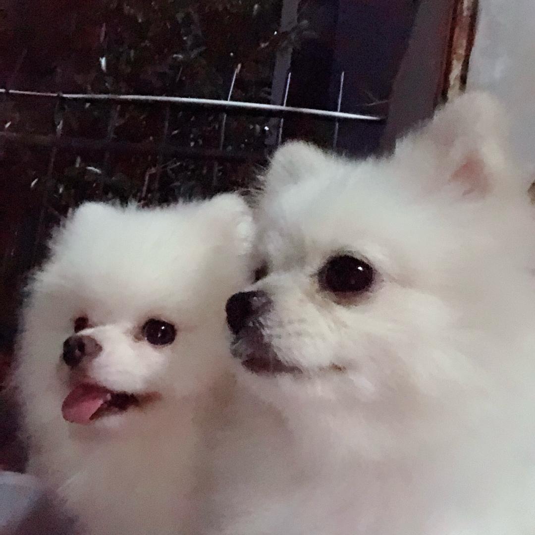 💔🥀半颗糖💔🥀