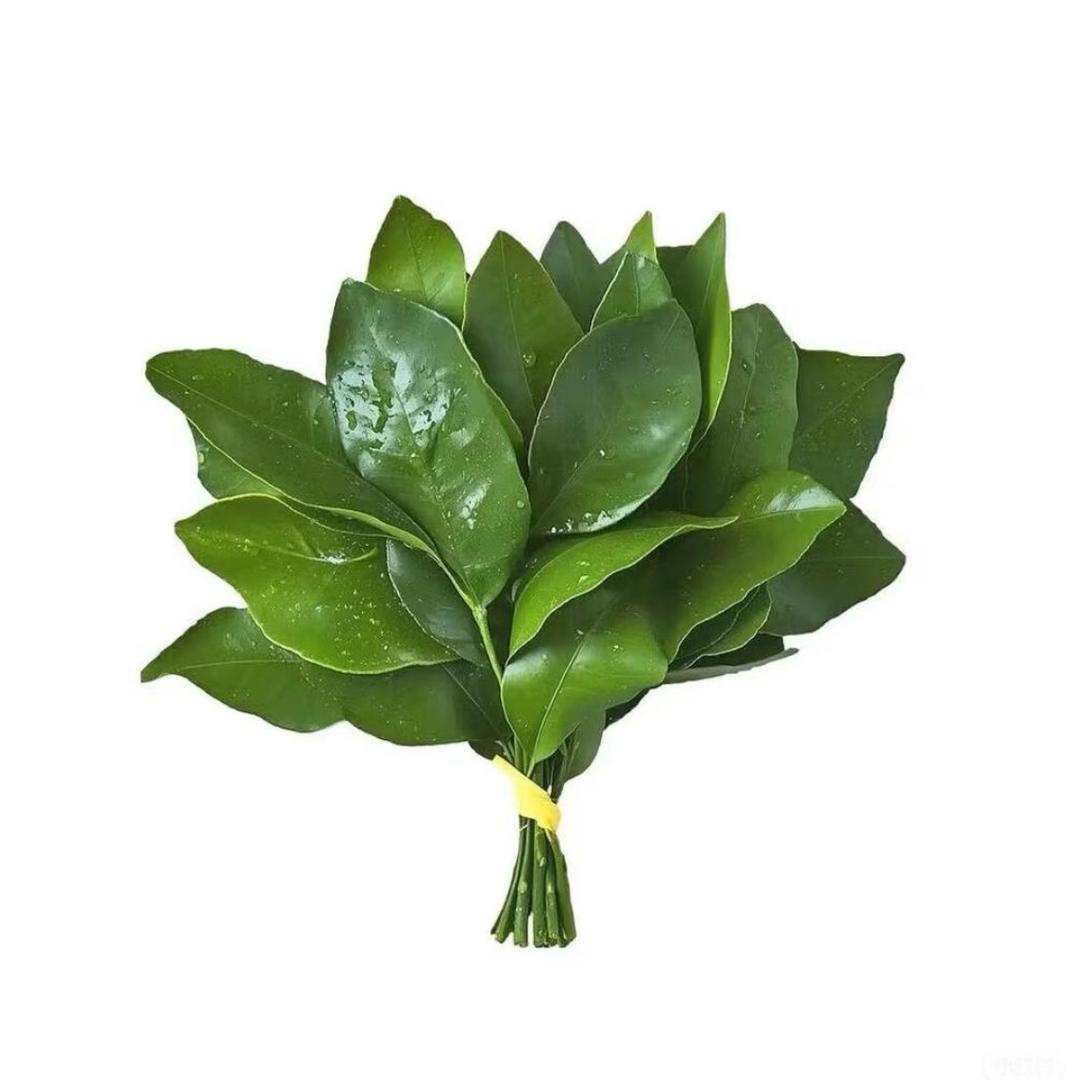 小如雨