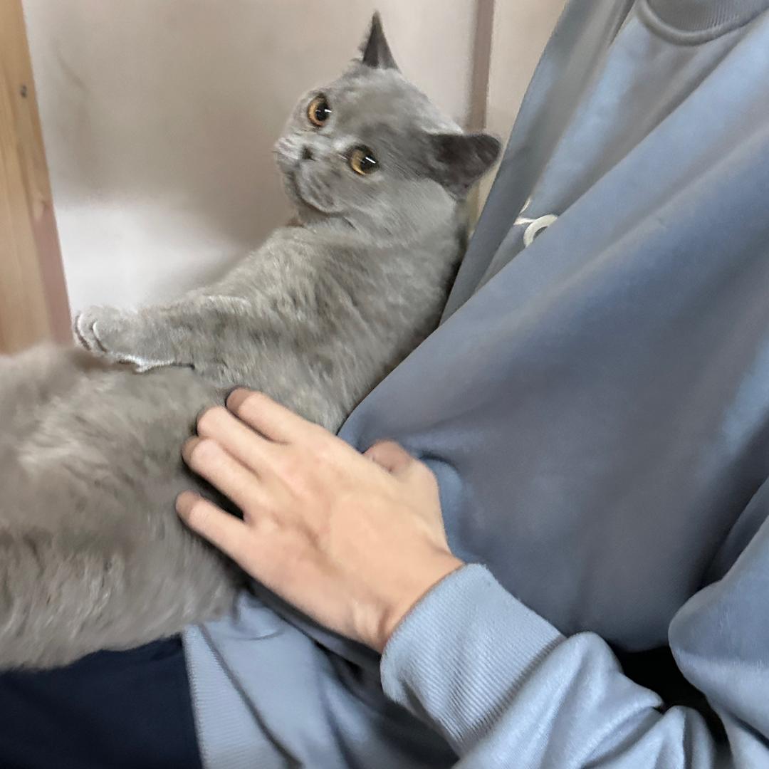 surprise.