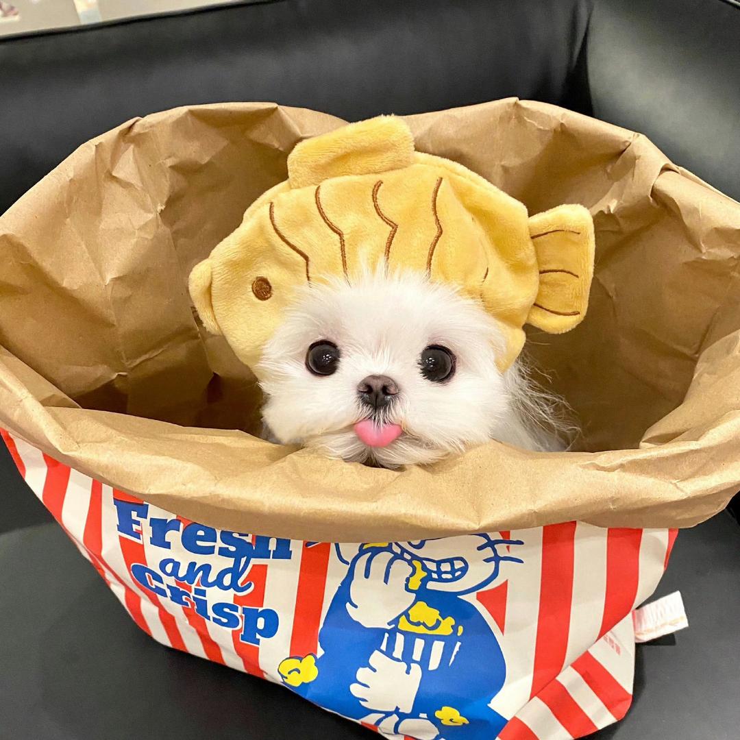 柯茂潮鞋三号店