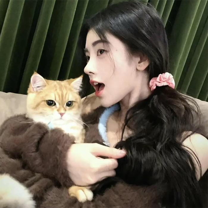 家有绝活猫