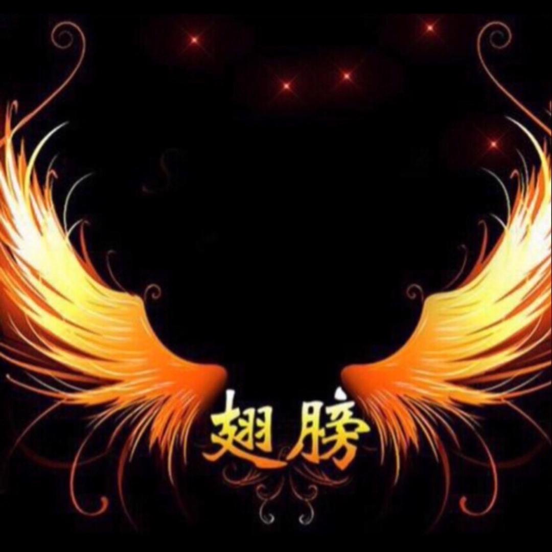 翅膀