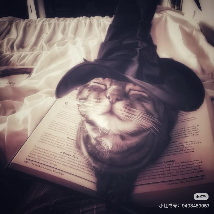 我糙世界怎么那么坏