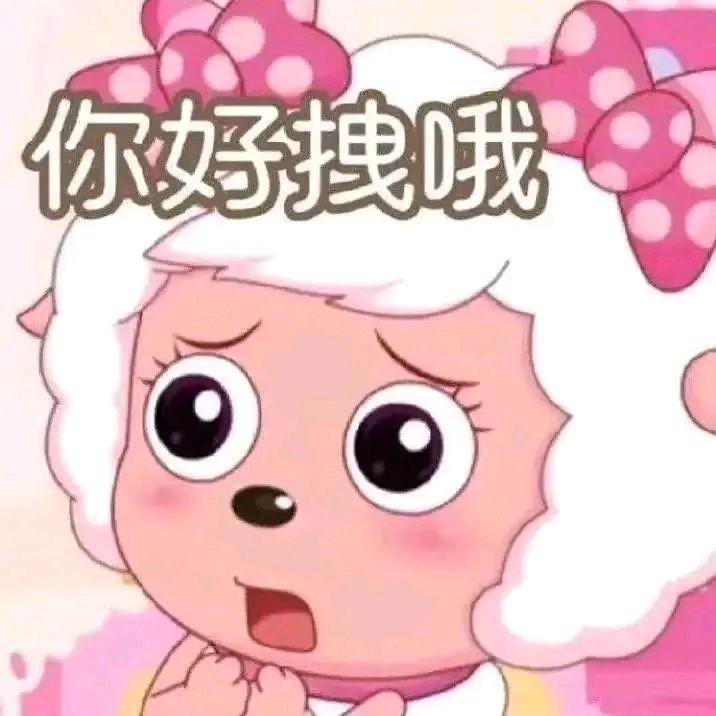Wy ･ᴗ･