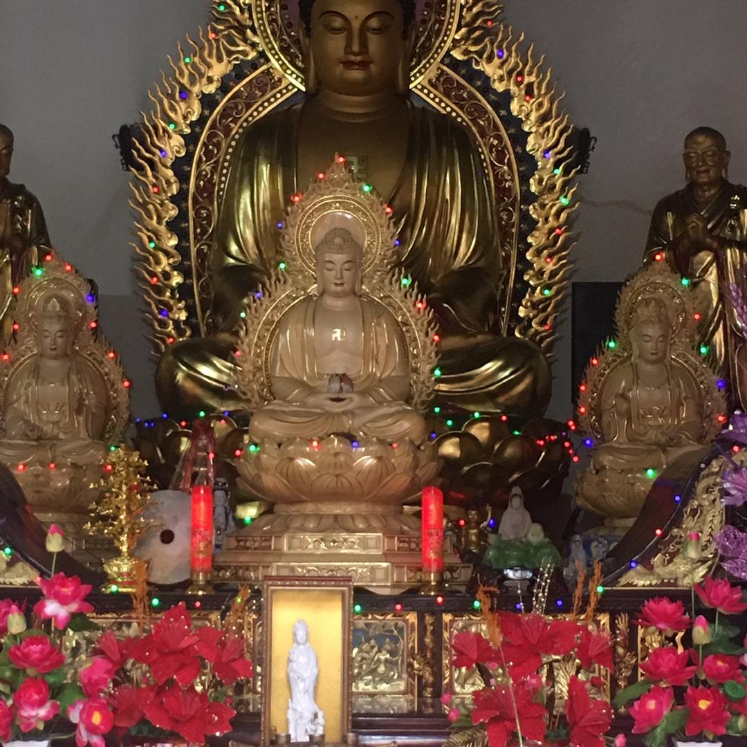 北( ´◔‸◔`)极