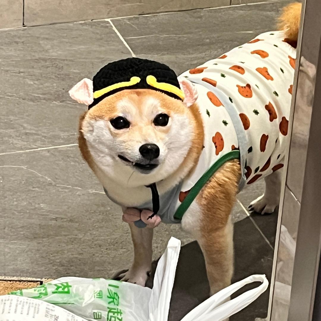 牛马和苹果橙