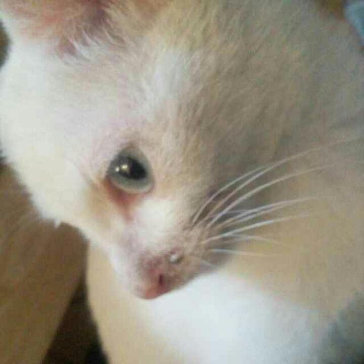 希望与绝望的距离