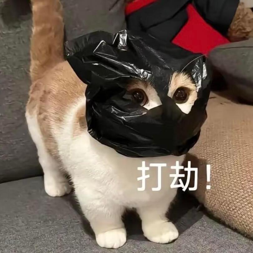 嘎嘣脆a