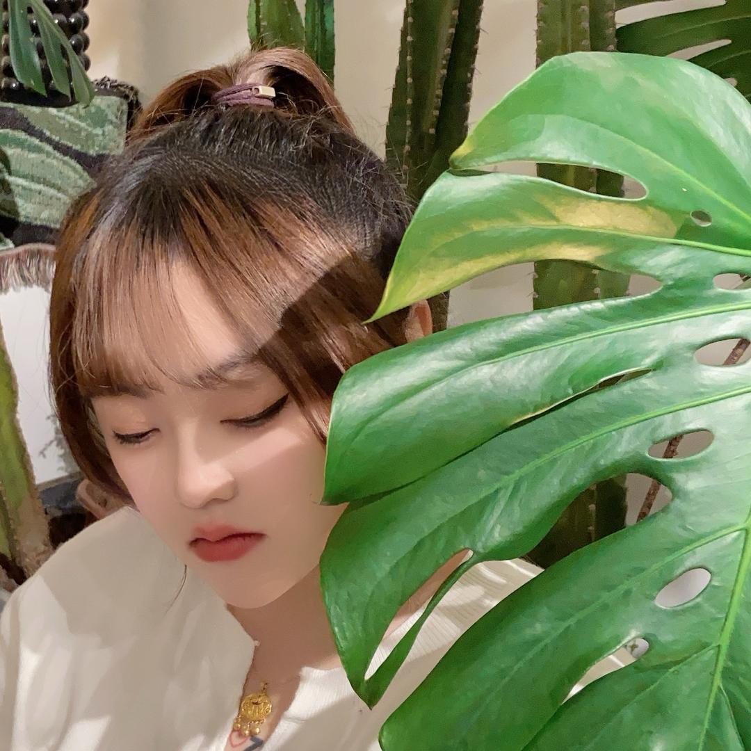萌