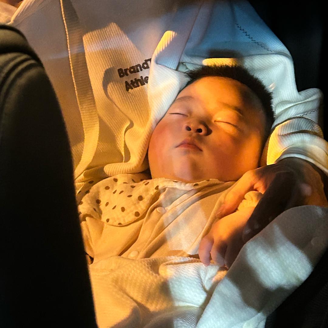 京蝉·爱吃橙子