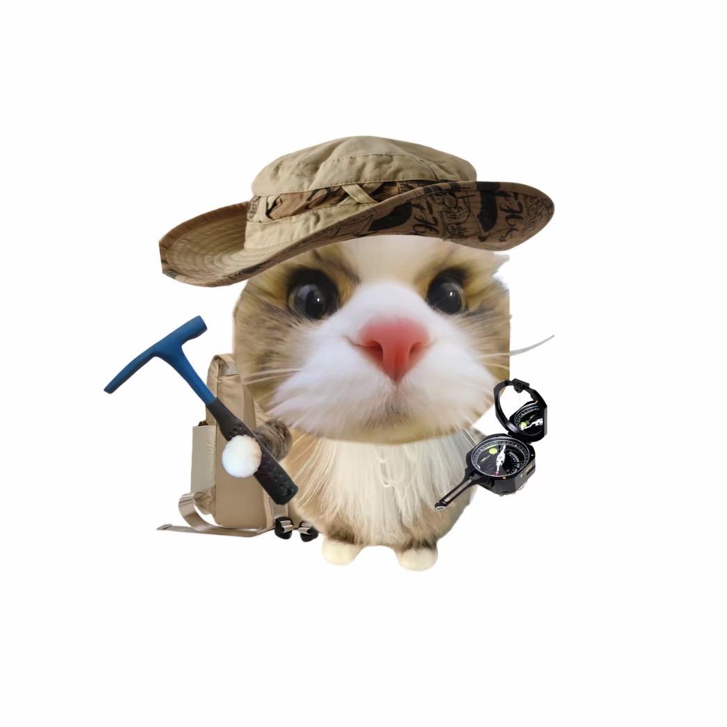 屎到淋头还想搅便