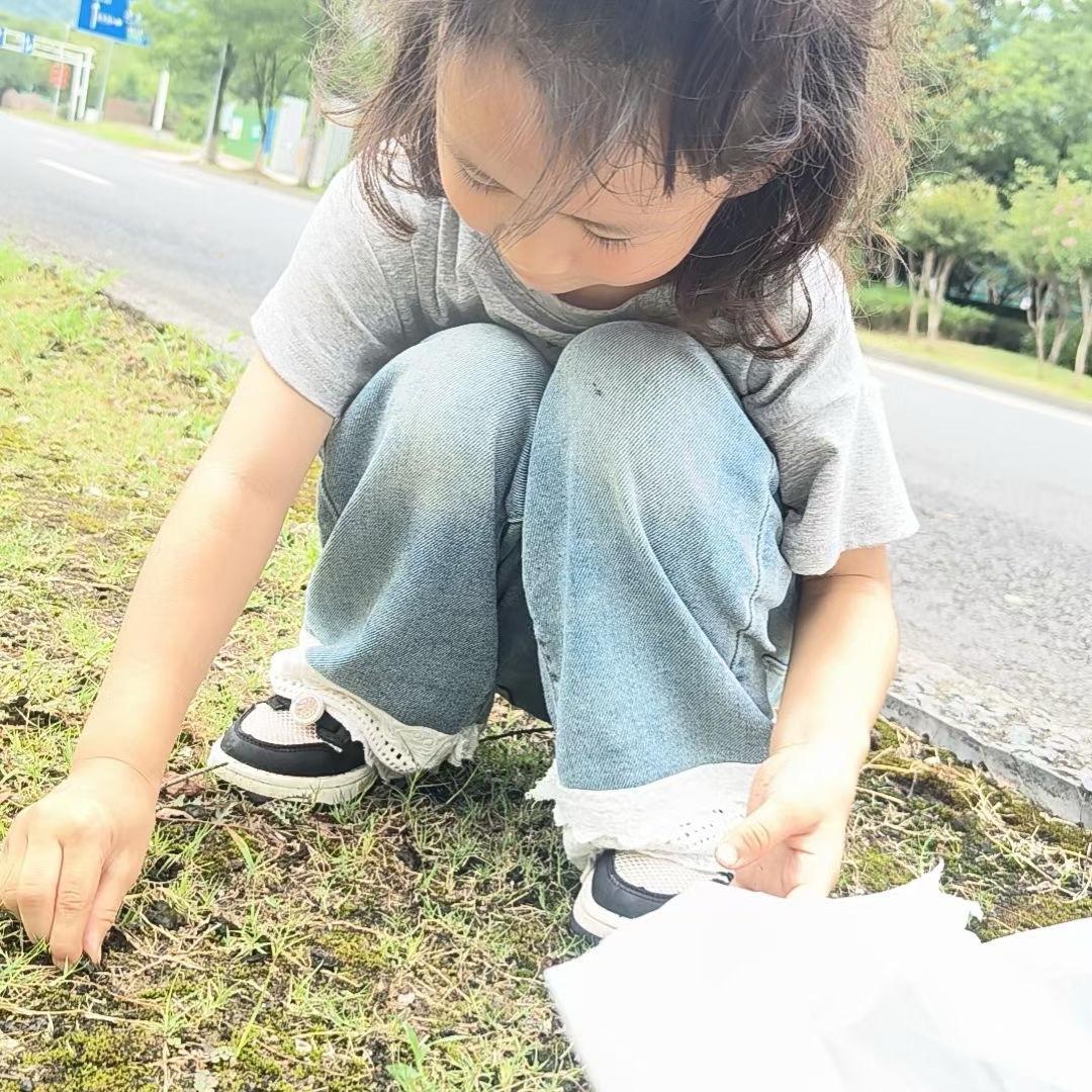 照直