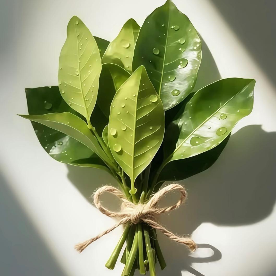 抓一个小啾啾✨ 🧸