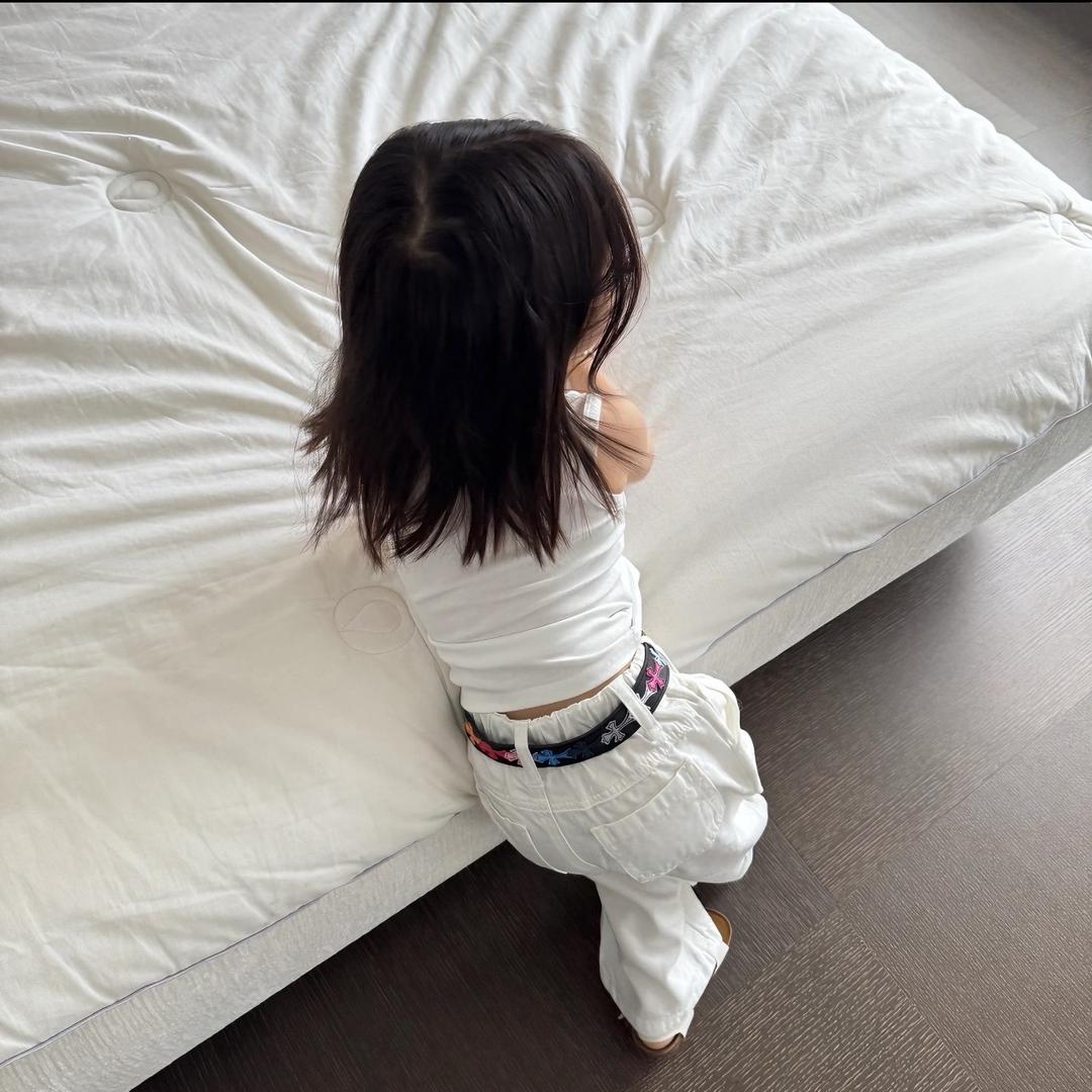 鲨鱼