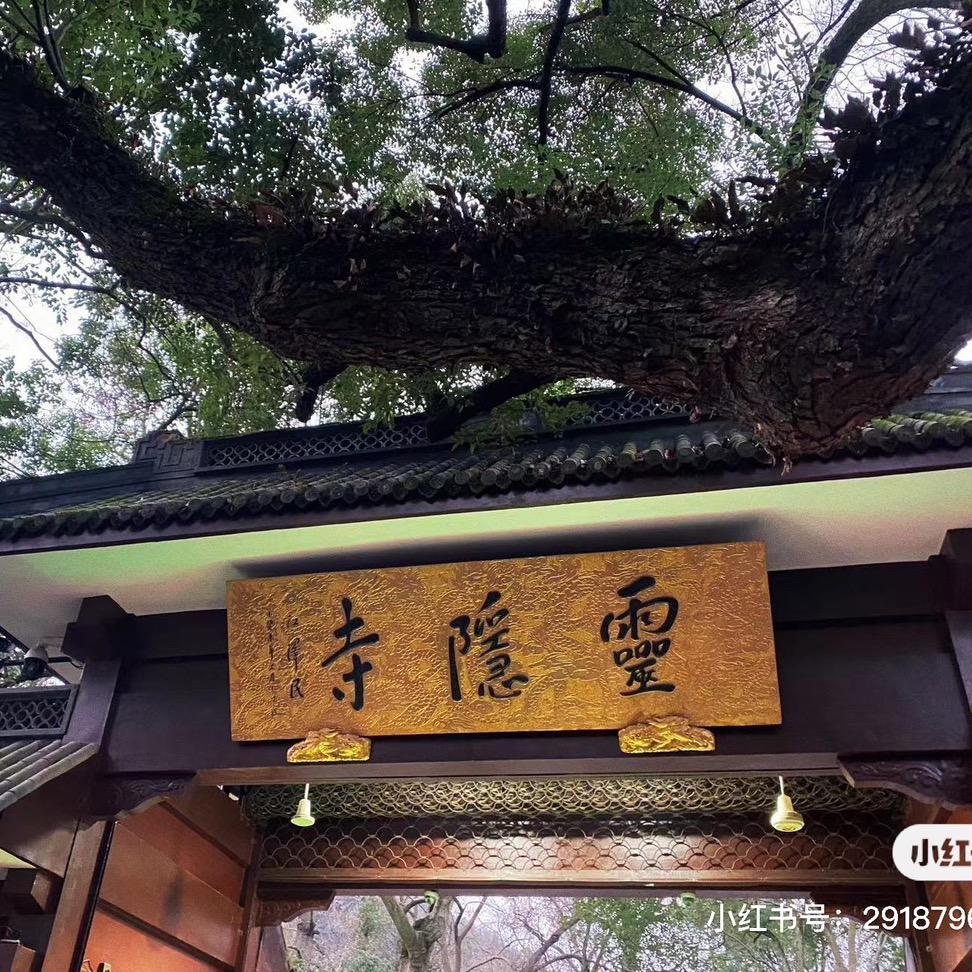 杭州木木