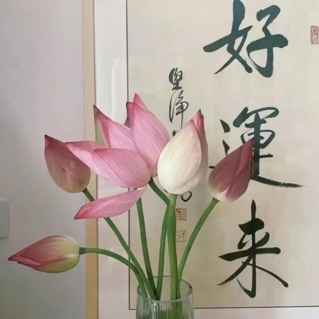 臻悦老北京足贴艾草堂