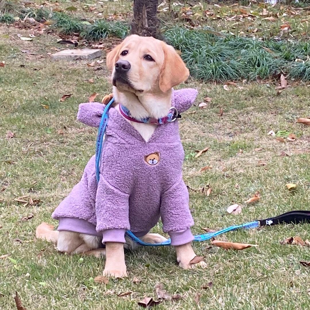 朵拉&露娜成长日记🍀