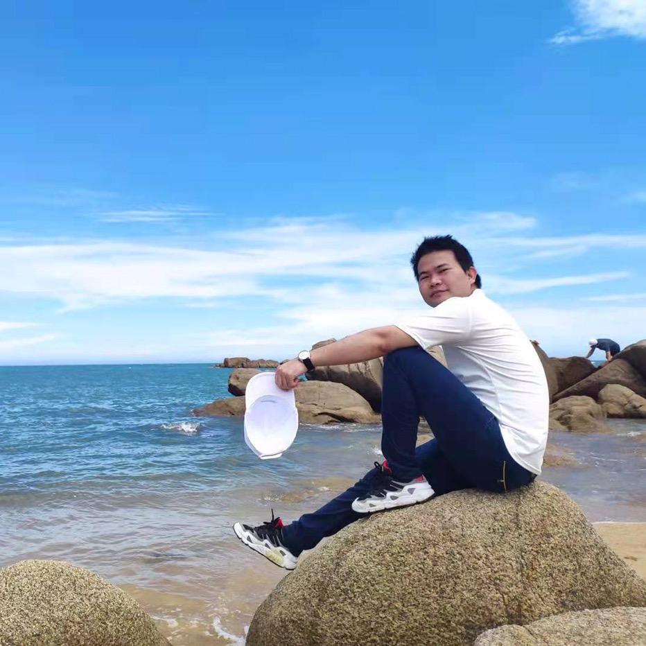 扶摇植上九万里
