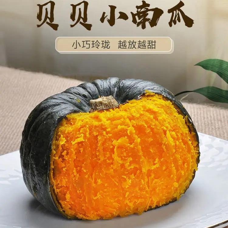 贝贝南瓜种植基地